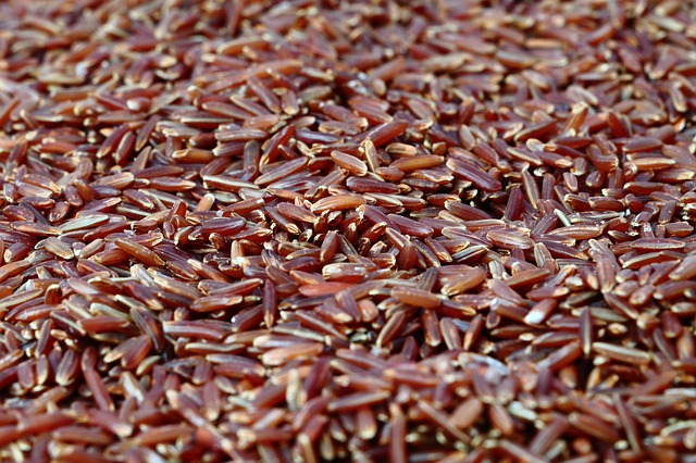 red-rice-4228393_640